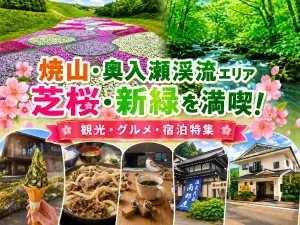 焼山・奥入瀬渓流エリアの芝桜と新緑、グルメ、宿泊施設を紹介する特集アイキャッチ画像