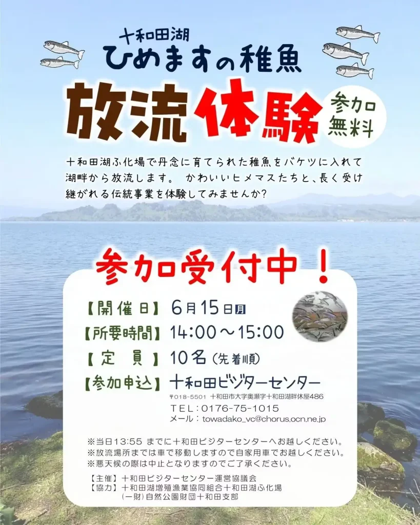 十和田湖ひめますの稚魚 放流体験 | 6/15(月) | かわいいヒメマスを湖畔に放流する伝統体験 | 青森県十和田市