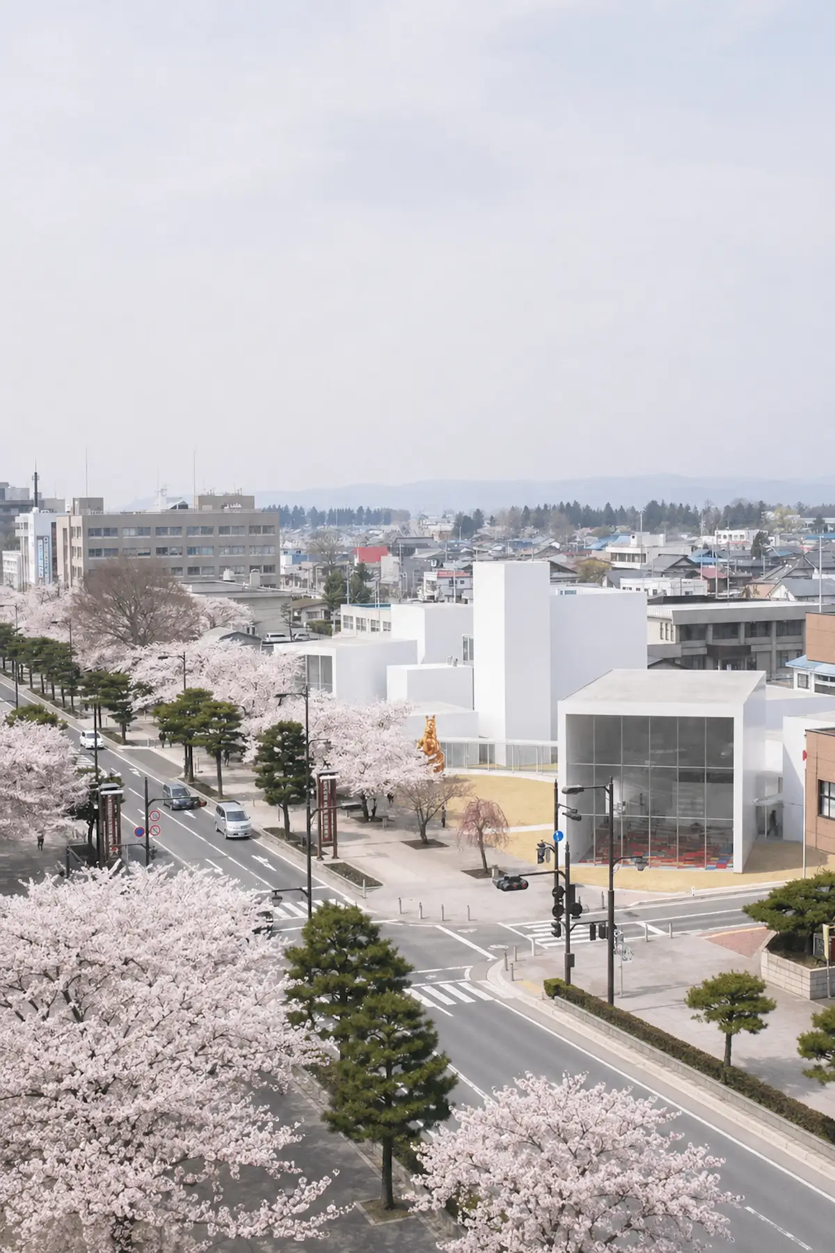 十和田市現代美術館と官庁街通りの桜並木
