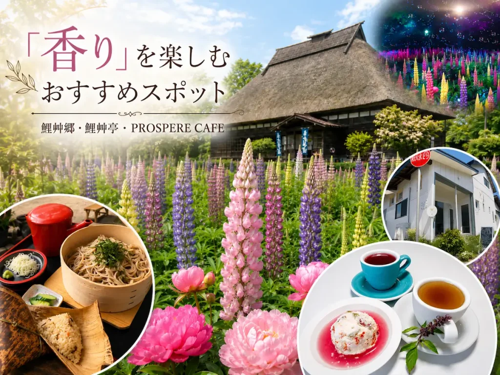 「香り」を楽しむおすすめスポット|鯉艸郷・鯉艸亭・プロスペールカフェをめぐる初夏のおでかけ 1 十和田市で香りを楽しむおすすめスポット、手づくり村鯉艸郷のルピナスと芍薬、鯉艸亭、PROSPERE CAFEを紹介するアイキャッチ画像