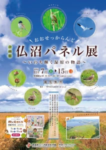 おおせっからんど仏沼パネル展 ～いのち輝く湿原の物語～ | 11/7(土)〜11/15(日) | ラムサール条約湿地の自然と野鳥パネル展示＆押し花づくり体験 | 青森県三沢市