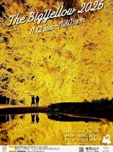 The Big Yellow 2026 | 11/12(木)〜11/30(月) | 日本一の大イチョウが黄金色に輝くライトアップ | 青森県深浦町