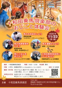 十和田乗馬倶楽部のおしごと体験会 青森県十和田市の体験イベント告知ポスター